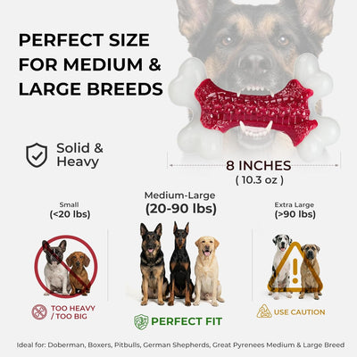 Kseroo Beef-Flavored Nylon Bone