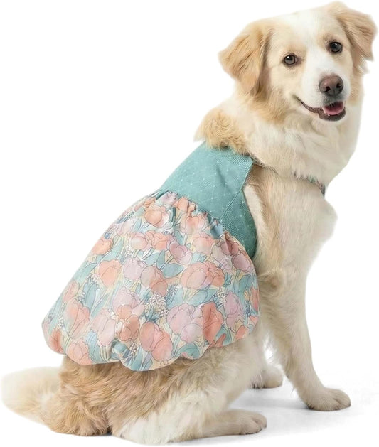 Large Dogs I Pink Wedding & Birthday Outfit