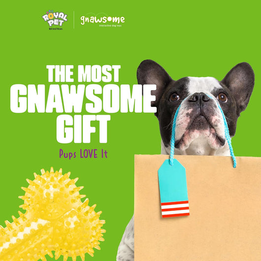 Spiky Squeaky Dog Bone Toy for Heavy Chewers