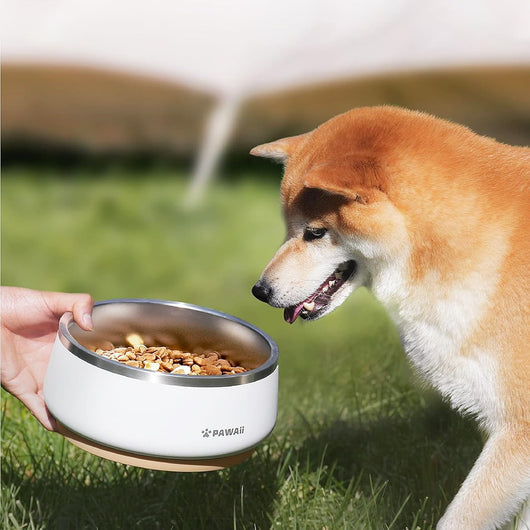 Pawaii 34oz Stainless Steel Dog Bowl