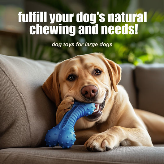 Durable Dog Toy for Boredom & Chewing