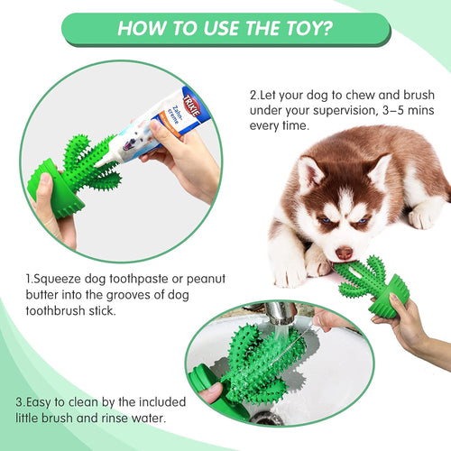 Squeaky Dog Toothbrush Toy for Aggressive Chewers