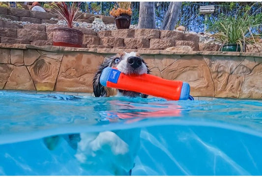 Floating Dog Fetch Toy for Water Adventures