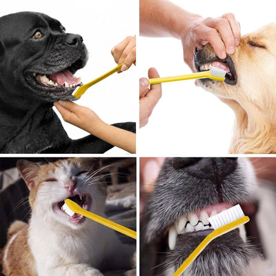 Dual-Head Dog Toothbrush 6-Pack
