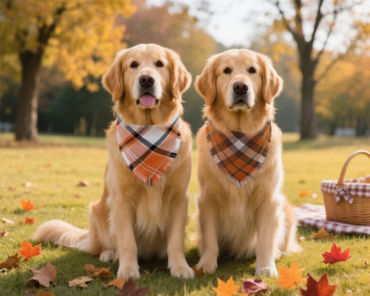 Orange Plaid Fall Dog Bandana Two-Pack Set