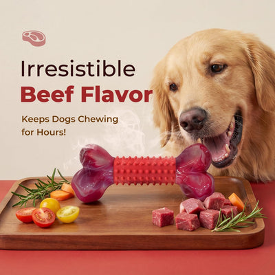 Tough Dog Chew Toy I Durable Bone for Large Dogs