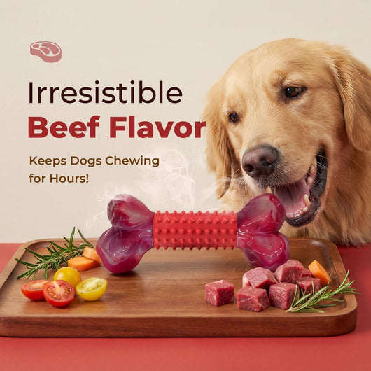 Tough Dog Chew Toy I Durable Bone for Large Dogs