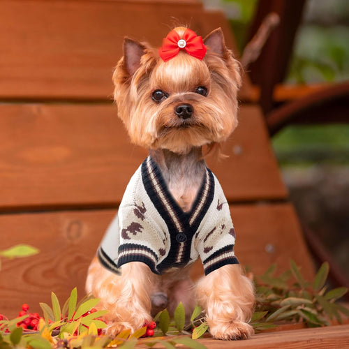 Cute Bear Dog Sweater Cardigan – Soft Knit Warm Dog Clothes for Small & Medium Dogs
