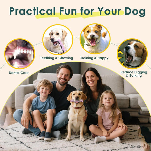Stuffable Dog Toothbrush Chew Toy
