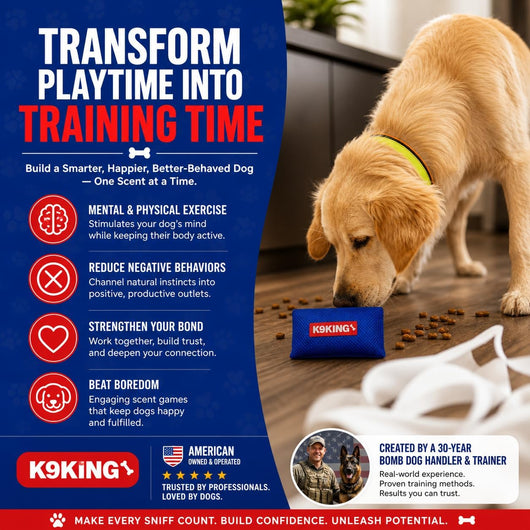 Nose Work Scent Training Kit For Calmer Dogs