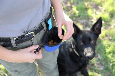 Treat Bag Quick Rewards For Focused Dogs