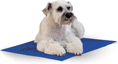 Indoor outdoor dog cooling bed alternative