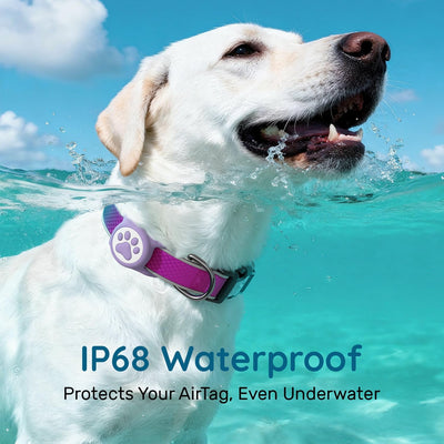 Dog Collar with AirTag Holder I Waterproof
