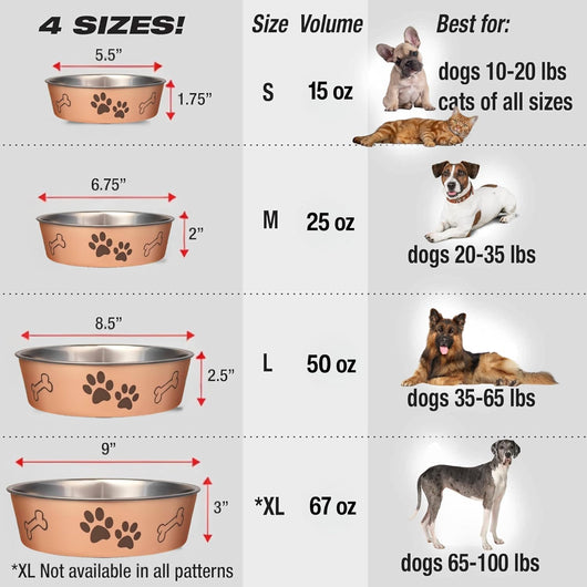 Stainless Steel Dog Bowl I Spill Proof I Champagne