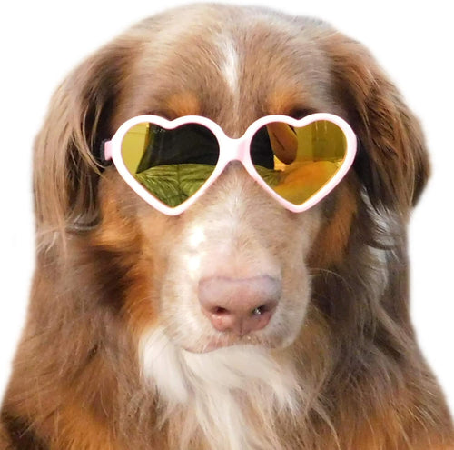 Medium Dog Heart Sunglasses Costume Photo Props