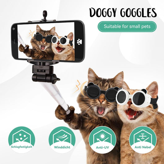 Dog Sunglasses UV Protection Cute Small Dogs