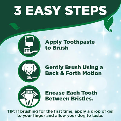 Dog Dental Care Kit With Toothpaste Toothbrush