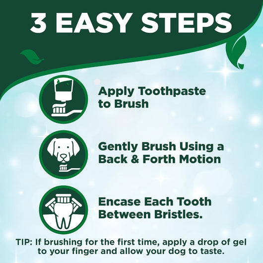 Dog Dental Care Kit With Toothpaste Toothbrush