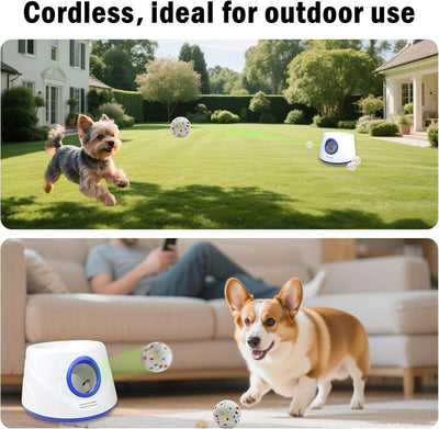 Dog Ball Thrower Launcher | Automatic Fetch Toy