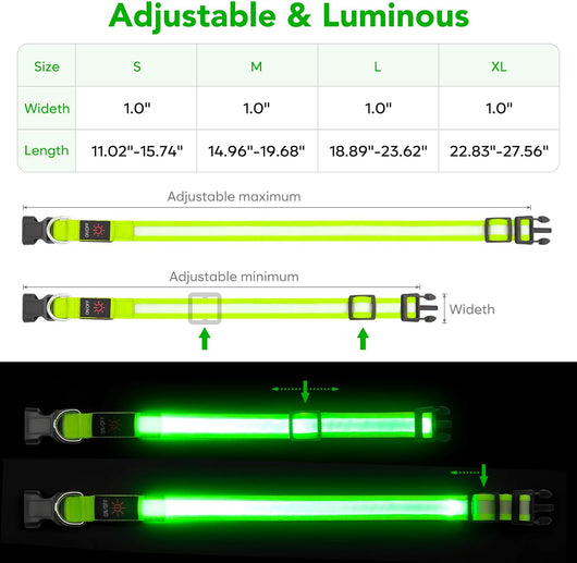 LED USB Rechargeable Safety Dog Collar
