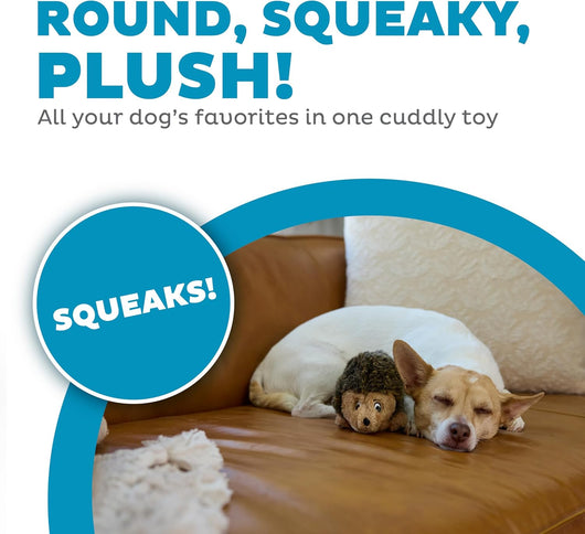 Squeaky Hedgehog Plush Toy for Cuddles
