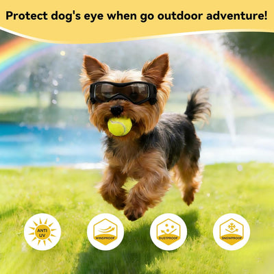 Dog Sunglasses I UV Protection