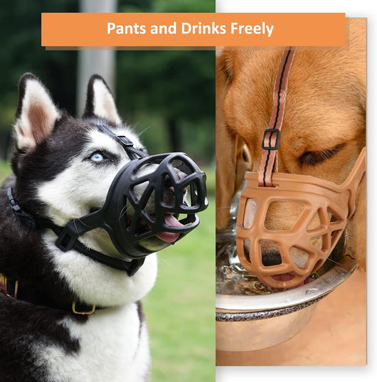 Humane Basket Dog Muzzle for Safe Training