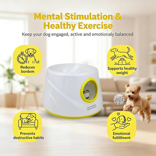 Automatic Dog Ball Launcher | USB Rechargeable Fetch Toy