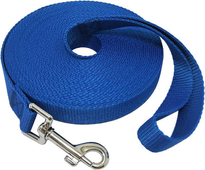 Leash Long-Distance Recall Training Freedom For Dogs