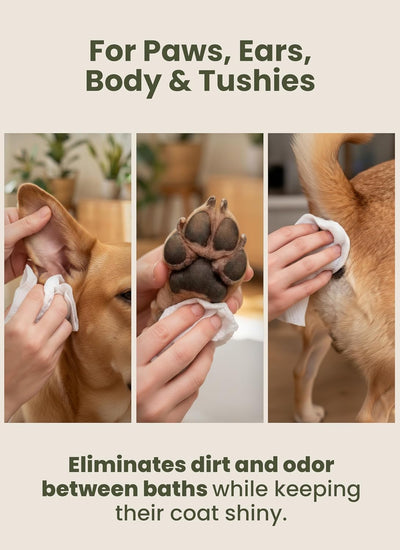 Puppy Cleaning Wipes For Fresh Everyday Cleanup
