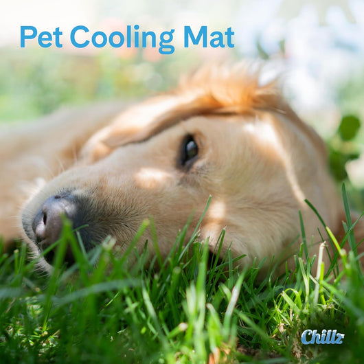 Chillz Cooling Dog Mat for Medium Pets