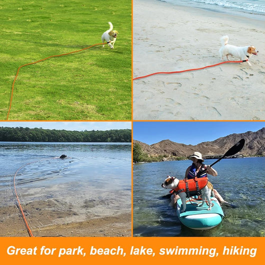 Leash Floating Recall Freedom For Active Dogs
