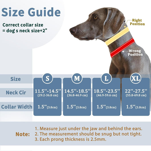 No-Pull Martingale Dog Training Collar