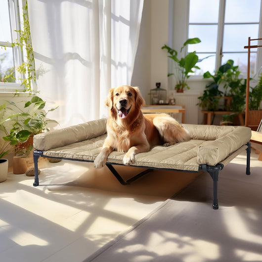 Large dog resting on elevated cooling dog bed