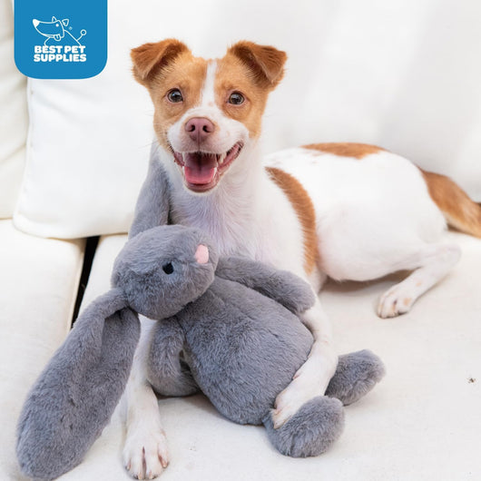 Squeaky Bunny Plush Dog Toy