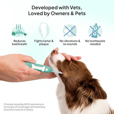 Silent Electric Dog Toothbrush for Small Dogs