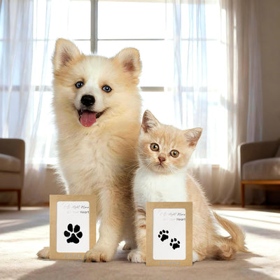 Zone Inkless Paw Print Kit For Pets