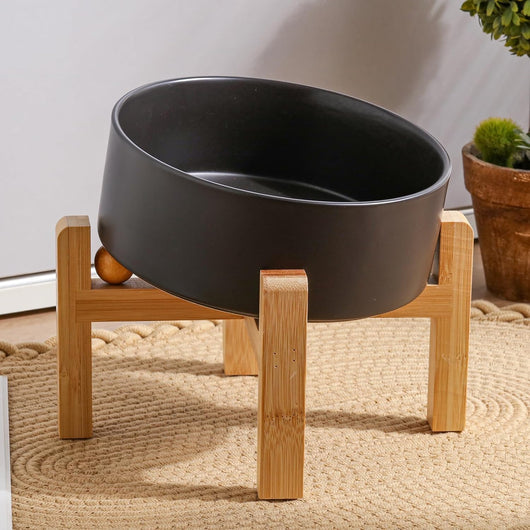 Black Dog Bowl I Elevated Stand