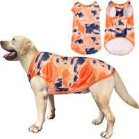 Big Dog I Tie Dye Dog T-Shirt