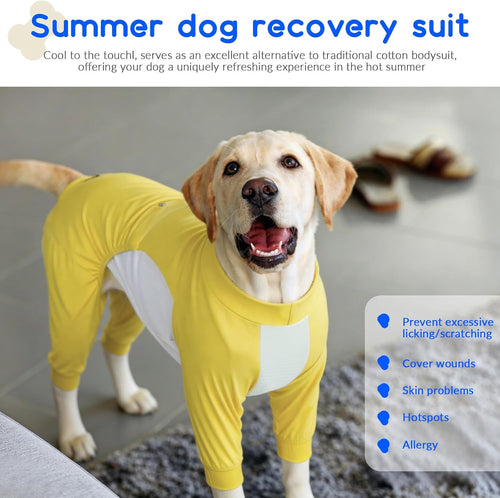 Big Dog I Cooling Shirt with UV Protection