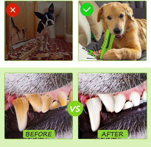 Gator Toothbrush Chew Toy