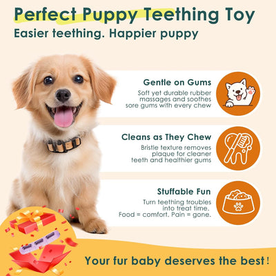 Stuffable Dog Toothbrush Chew Toy