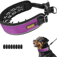 Adjustable Martingale Training Collar, Reflective I Waterproof