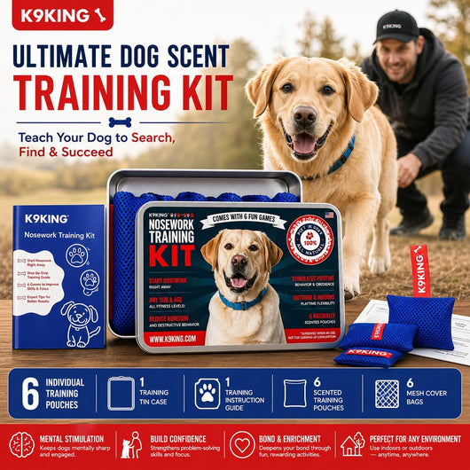 Nose Work Scent Training Kit For Calmer Dogs