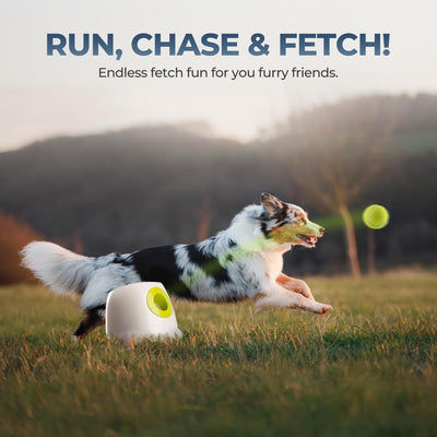 Automatic Dog Ball Launcher | Rechargeable Fetch Toy