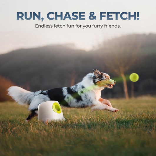 Automatic Dog Ball Launcher | Rechargeable Fetch Toy