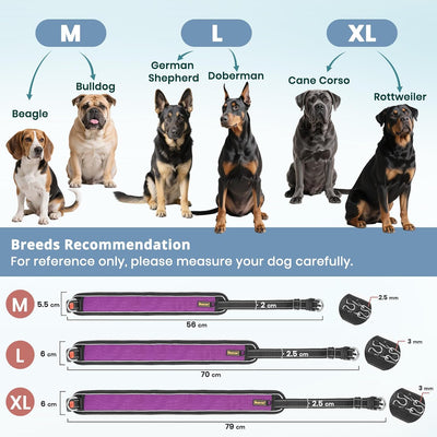 Adjustable Martingale Training Collar, Reflective I Waterproof