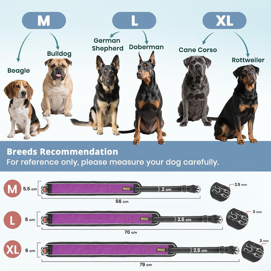 Adjustable Martingale Training Collar, Reflective I Waterproof