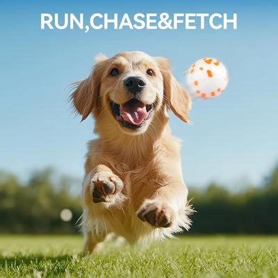 Dog Ball Launcher With 3 ETPU Balls