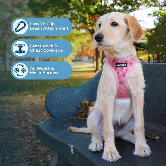 Pink Step-In Dog Harness